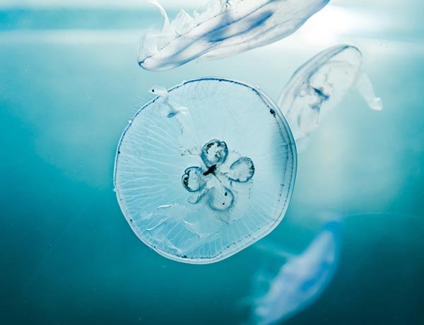 Welcome 28 willian justen de vasconcellos ASKGjAeIY U unsplash